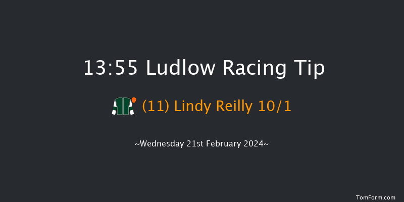 Ludlow  13:55 Maiden Hurdle (Class
4) 16f Wed 7th Feb 2024