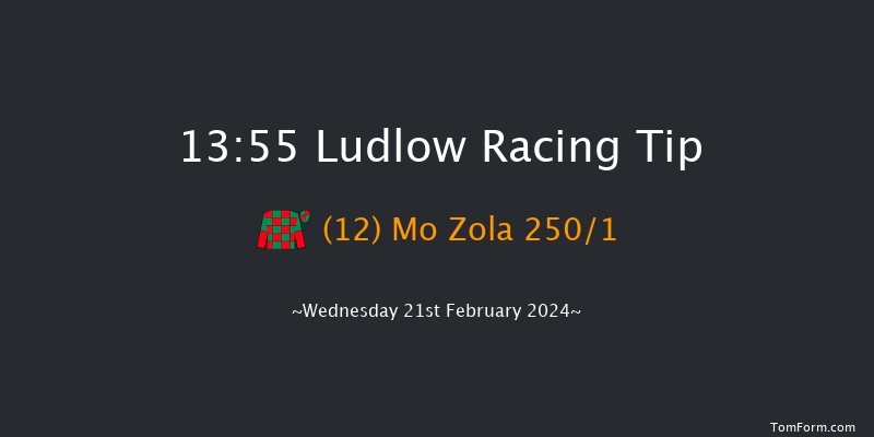 Ludlow  13:55 Maiden Hurdle (Class
4) 16f Wed 7th Feb 2024