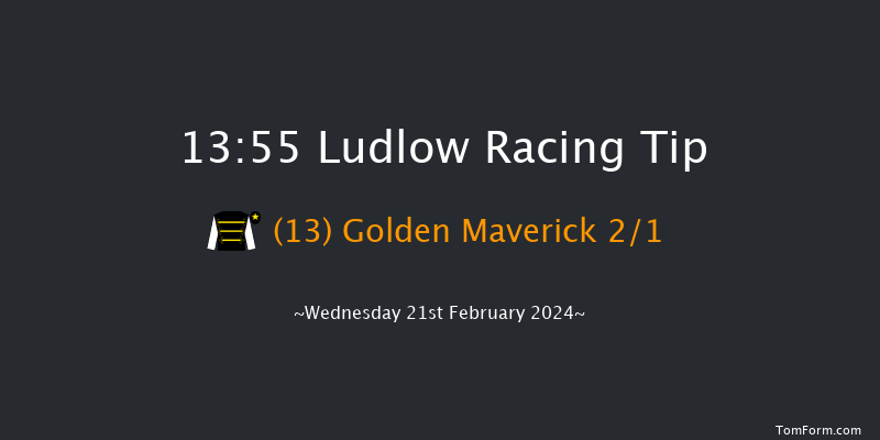 Ludlow  13:55 Maiden Hurdle (Class
4) 16f Wed 7th Feb 2024