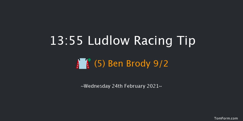 Fairway Cafe Novices' Handicap Chase Ludlow 13:55 Handicap Chase (Class 5) 16f Thu 21st Jan 2021