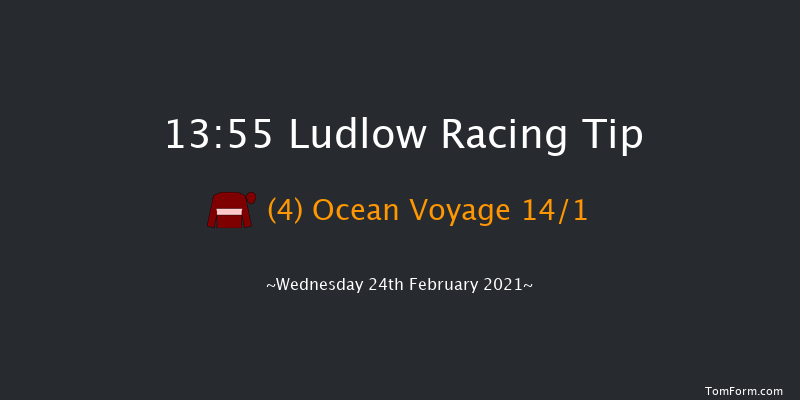 Fairway Cafe Novices' Handicap Chase Ludlow 13:55 Handicap Chase (Class 5) 16f Thu 21st Jan 2021