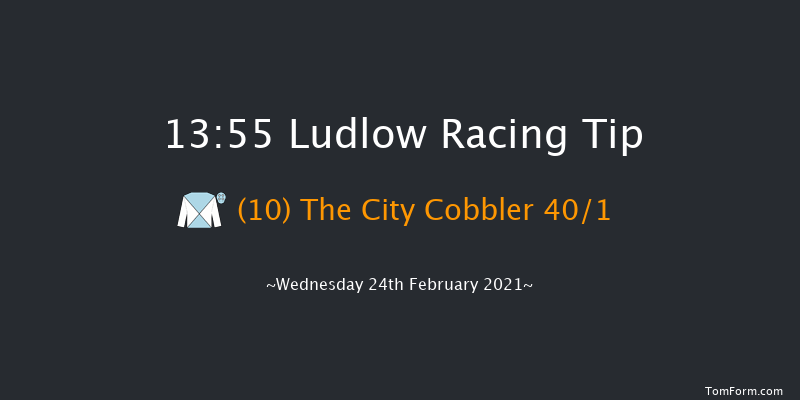 Fairway Cafe Novices' Handicap Chase Ludlow 13:55 Handicap Chase (Class 5) 16f Thu 21st Jan 2021