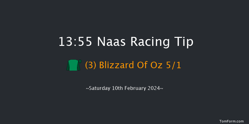 Naas  13:55 Novices Hurdle 19f Sun 28th Jan 2024