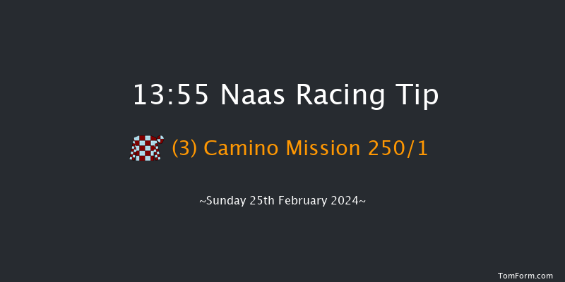 Naas  13:55 Maiden Hurdle 16f Sat 10th Feb 2024