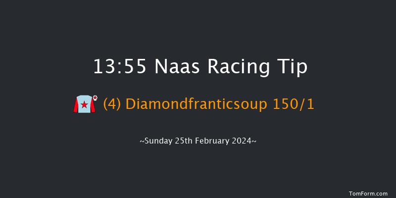 Naas  13:55 Maiden Hurdle 16f Sat 10th Feb 2024