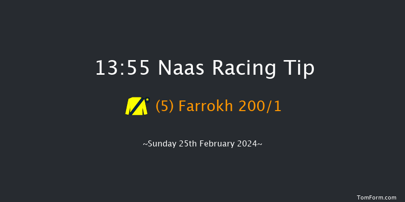 Naas  13:55 Maiden Hurdle 16f Sat 10th Feb 2024