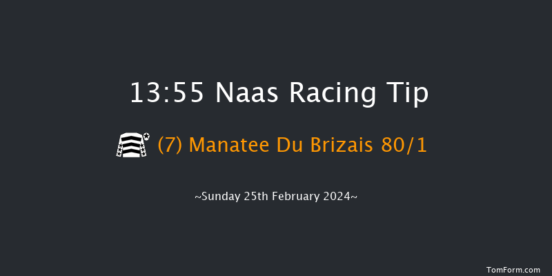 Naas  13:55 Maiden Hurdle 16f Sat 10th Feb 2024