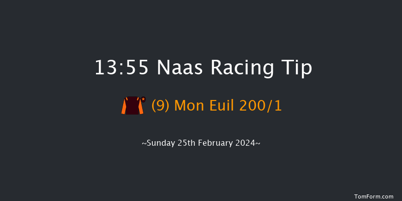 Naas  13:55 Maiden Hurdle 16f Sat 10th Feb 2024