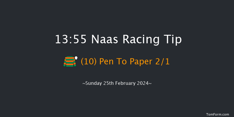 Naas  13:55 Maiden Hurdle 16f Sat 10th Feb 2024