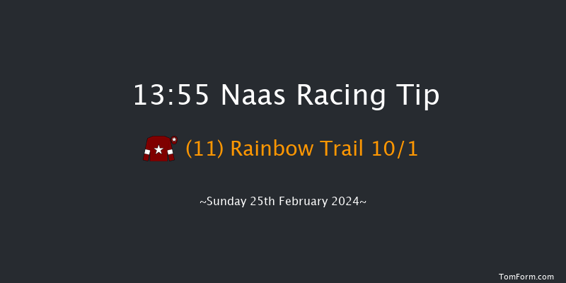 Naas  13:55 Maiden Hurdle 16f Sat 10th Feb 2024