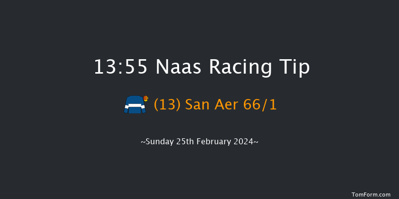 Naas  13:55 Maiden Hurdle 16f Sat 10th Feb 2024