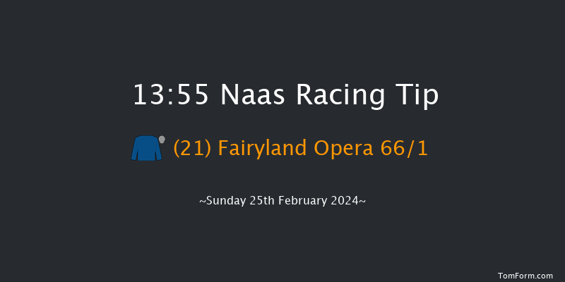 Naas  13:55 Maiden Hurdle 16f Sat 10th Feb 2024