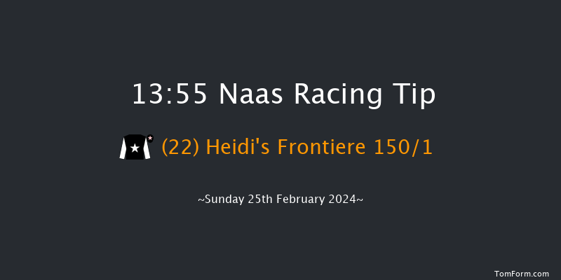 Naas  13:55 Maiden Hurdle 16f Sat 10th Feb 2024