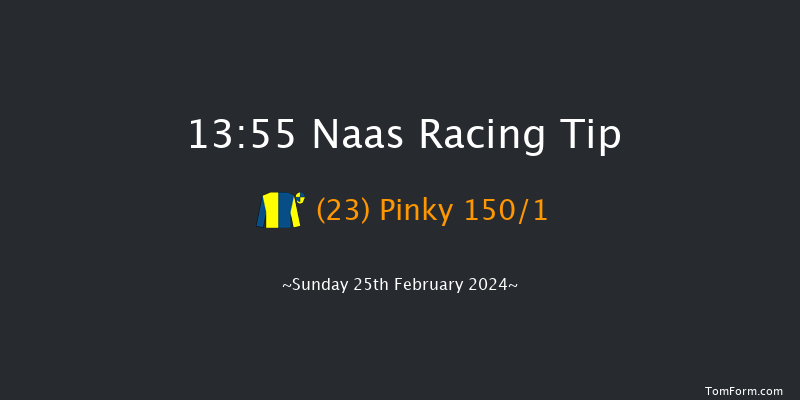 Naas  13:55 Maiden Hurdle 16f Sat 10th Feb 2024