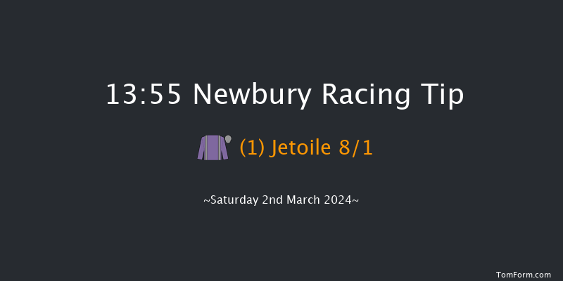 Newbury  13:55 Handicap Chase (Class 1) 20f Fri 1st Mar 2024