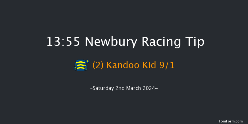 Newbury  13:55 Handicap Chase (Class 1) 20f Fri 1st Mar 2024