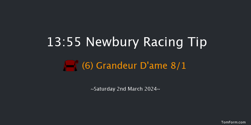 Newbury  13:55 Handicap Chase (Class 1) 20f Fri 1st Mar 2024