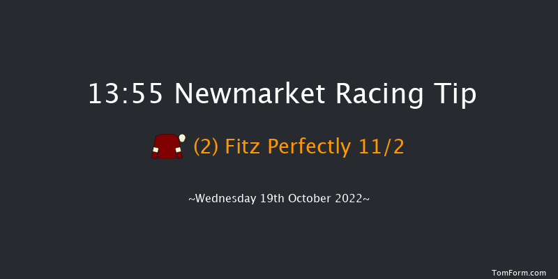 Newmarket 13:55 Stakes (Class 4) 7f Sat 8th Oct 2022