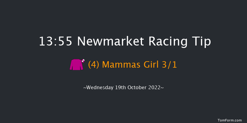 Newmarket 13:55 Stakes (Class 4) 7f Sat 8th Oct 2022