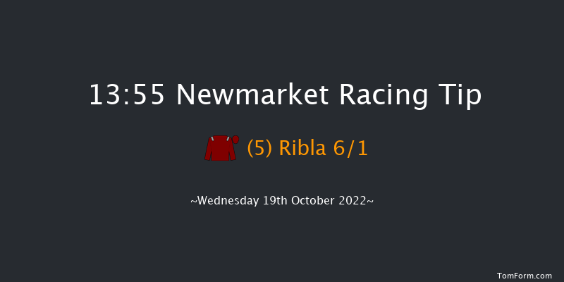 Newmarket 13:55 Stakes (Class 4) 7f Sat 8th Oct 2022