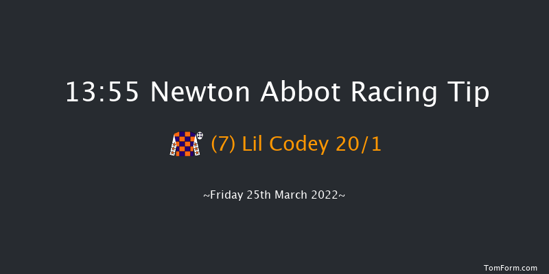 Newton Abbot 13:55 Handicap Hurdle (Class 5) 22f Wed 5th May 2021