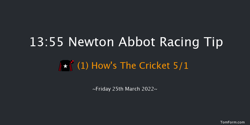 Newton Abbot 13:55 Handicap Hurdle (Class 5) 22f Wed 5th May 2021