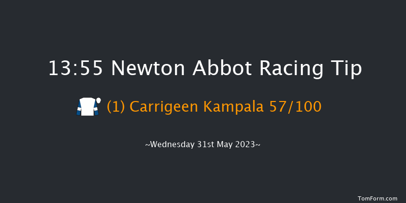 Newton Abbot 13:55 Novices Hurdle (Class 4) 17f Wed 17th May 2023