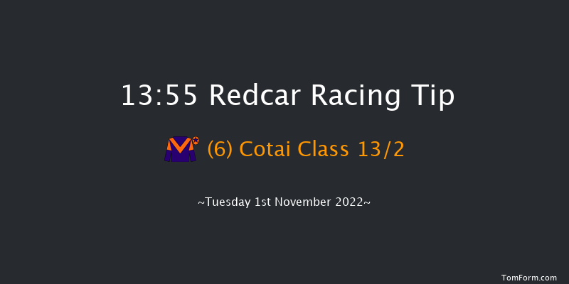 Redcar 13:55 Seller (Class 5) 8f Mon 24th Oct 2022