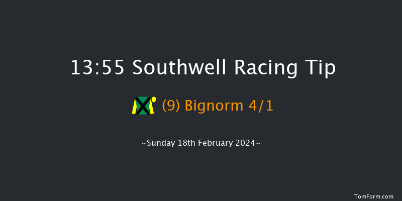 Southwell  13:55 Handicap Chase (Class 5)
24f Thu 15th Feb 2024