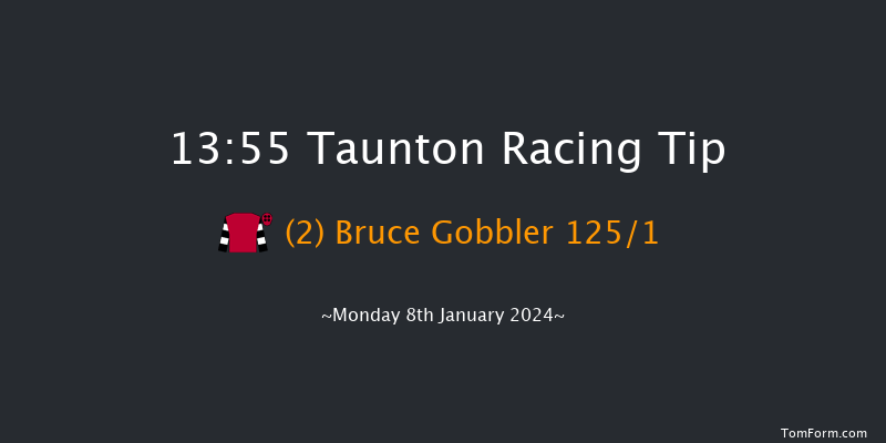 Taunton 13:55 Maiden Hurdle (Class 4) 16f Sat 30th Dec 2023