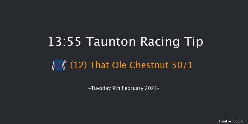 Newton King Estate Agents Novices' Hurdle (GBB Race) Taunton 13:55 Novices Hurdle (Class 4) 19f Sat 23rd Jan 2021