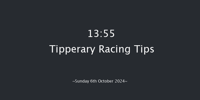 Tipperary  13:55 Handicap 9f Sun 1st Sep 2024