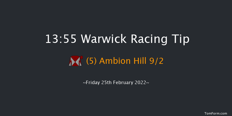 Warwick 13:55 Handicap Chase (Class 5) 20f Sat 12th Feb 2022