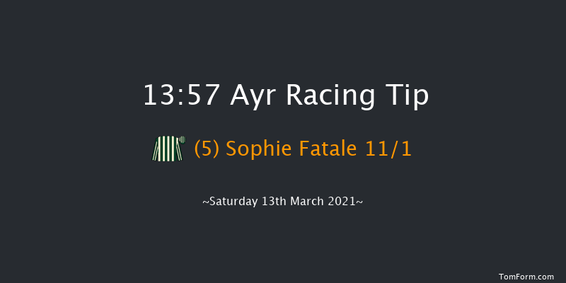 Virgin Bet Mares' Handicap Hurdle (Qualifier For The Northern Lights Mares' Hurdle) Ayr 13:57 Handicap Hurdle (Class 4) 21f Mon 1st Mar 2021