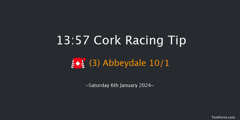 Cork 13:57 Handicap Hurdle 20f Sun 10th Dec 2023