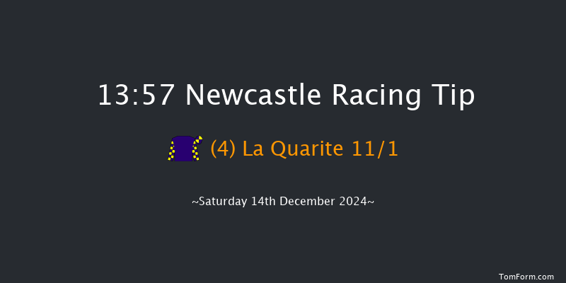 Newcastle  13:57 Handicap Hurdle (Class 5) 17f Thu 12th Dec 2024