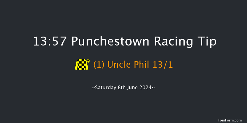 Punchestown  13:57 Handicap Chase 16f Tue 21st May 2024