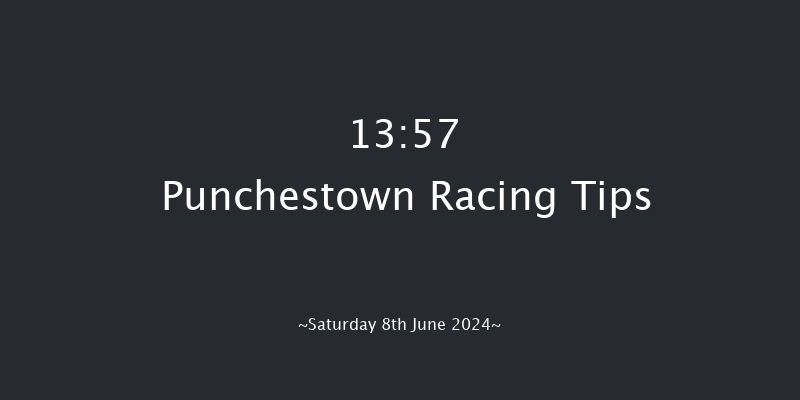 Punchestown  13:57 Handicap Chase 16f Tue 21st May 2024