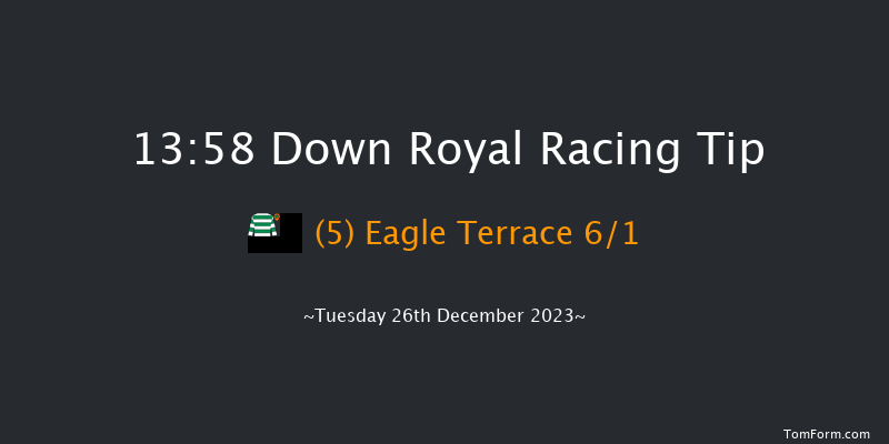 Down Royal 13:58 Handicap Chase 20f Sat 11th Nov 2023