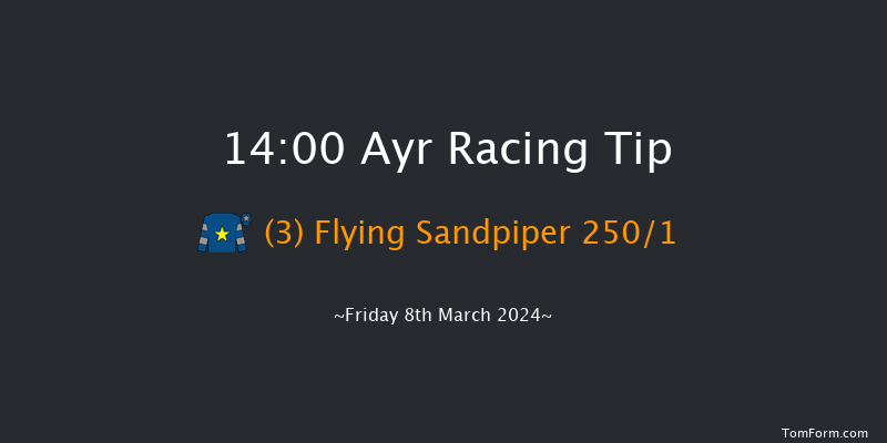 Ayr  14:00 Maiden Hurdle (Class 4)
16f Mon 26th Feb 2024