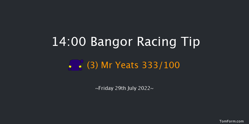 Bangor 14:00 Handicap Hurdle (Class 5) 23f Tue 24th May 2022