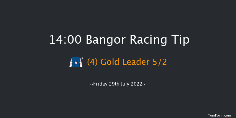 Bangor 14:00 Handicap Hurdle (Class 5) 23f Tue 24th May 2022