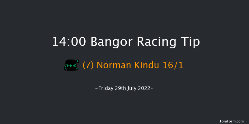 Bangor 14:00 Handicap Hurdle (Class 5) 23f Tue 24th May 2022