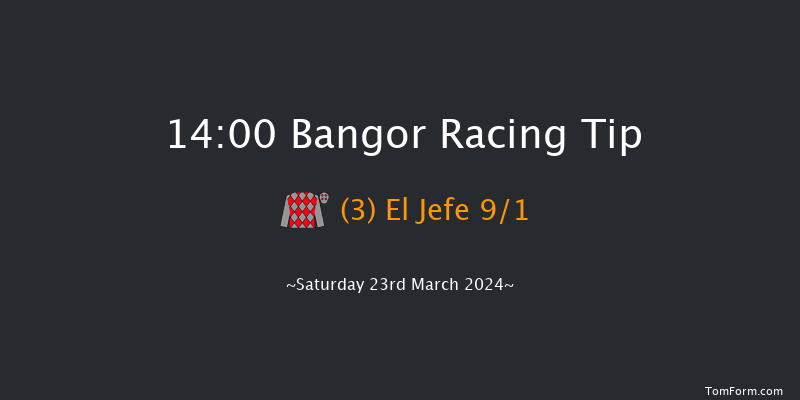 Bangor-on-dee  14:00 Handicap Hurdle (Class
4) 17f Wed 28th Feb 2024