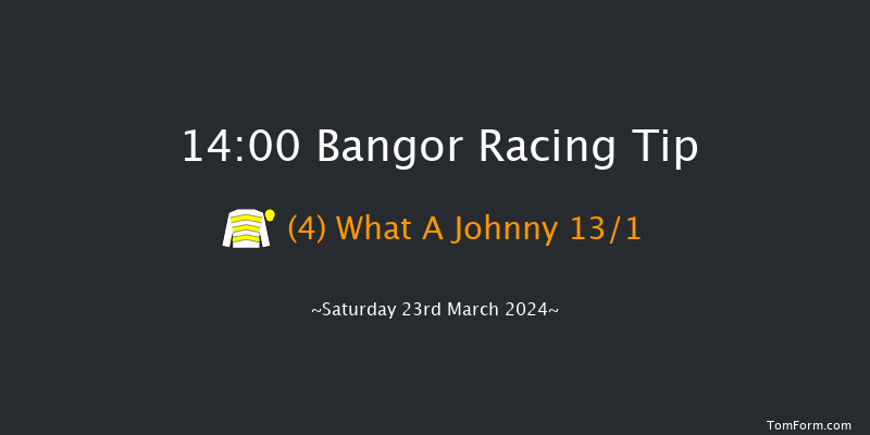 Bangor-on-dee  14:00 Handicap Hurdle (Class
4) 17f Wed 28th Feb 2024