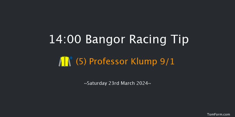 Bangor-on-dee  14:00 Handicap Hurdle (Class
4) 17f Wed 28th Feb 2024