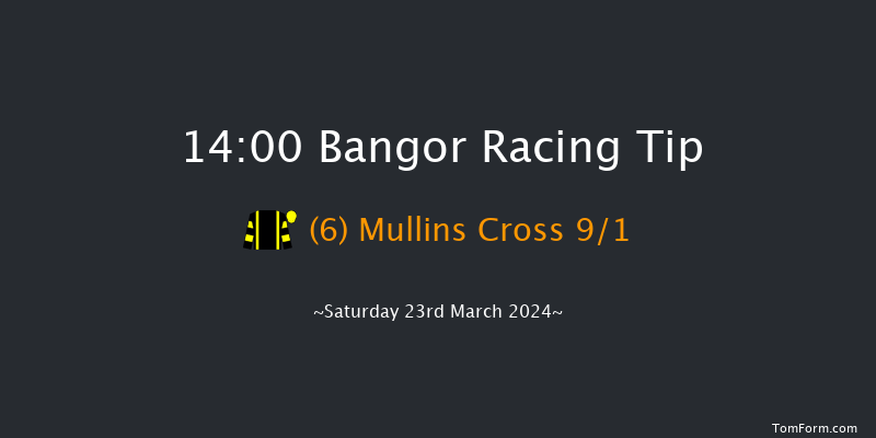 Bangor-on-dee  14:00 Handicap Hurdle (Class
4) 17f Wed 28th Feb 2024