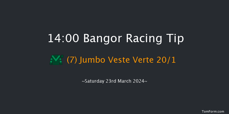 Bangor-on-dee  14:00 Handicap Hurdle (Class
4) 17f Wed 28th Feb 2024