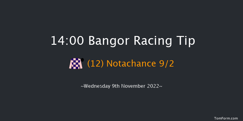 Bangor 14:00 Handicap Chase (Class 2) 24f Tue 25th Oct 2022