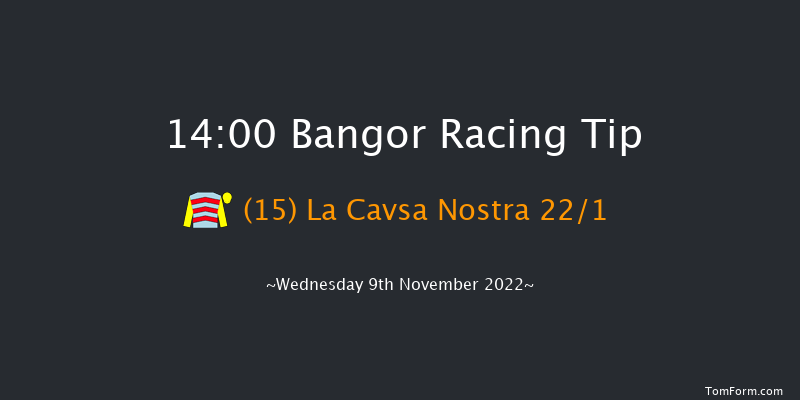 Bangor 14:00 Handicap Chase (Class 2) 24f Tue 25th Oct 2022